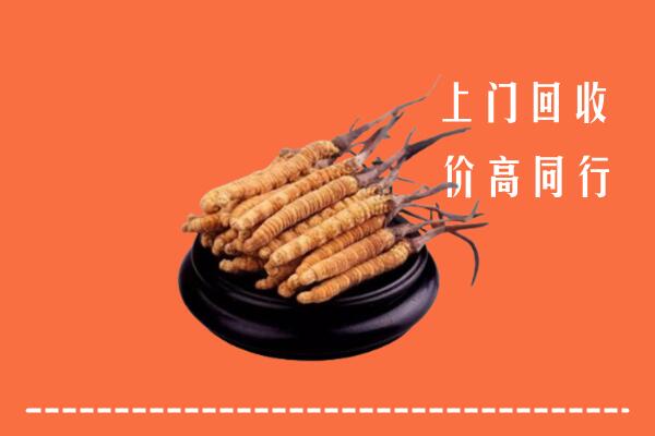 高价求购：鄯善县回收散虫草