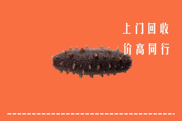 高价求购：鄯善县回收海参