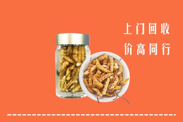 鄯善县回收冬虫夏草